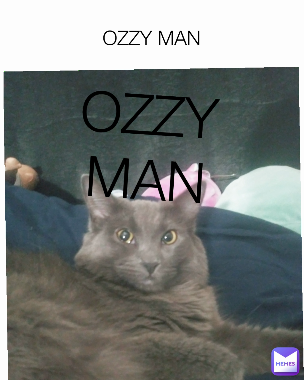 OZZY MAN OZZY MAN | @NatForceNatwick | Memes