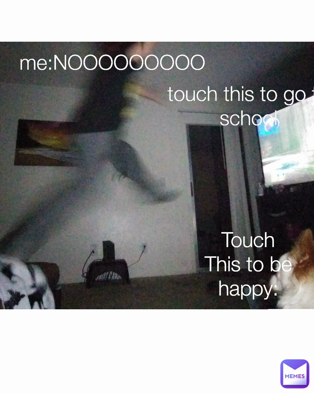 Meme by NatForceNatwick