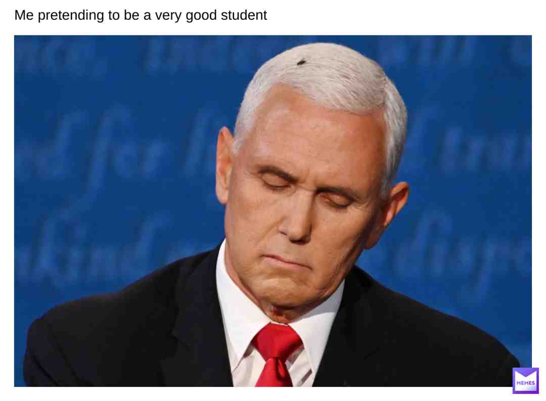 Hair #Mike pence fly