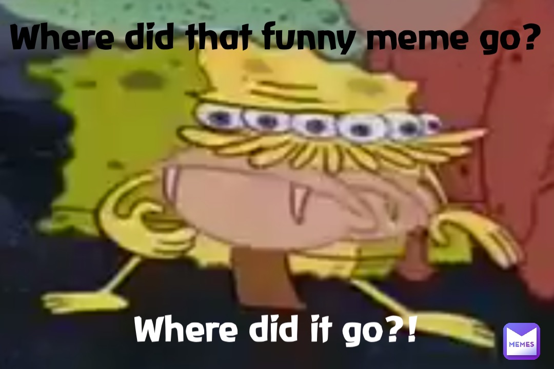 Where did that funny meme go? Where did it go?!