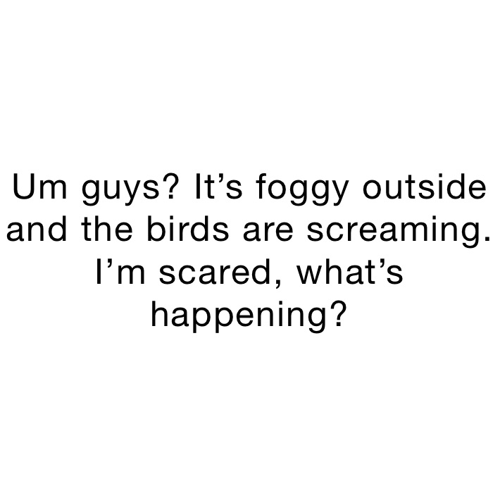 Um guys? It’s foggy outside and the birds are screaming. I’m scared, what’s happening?