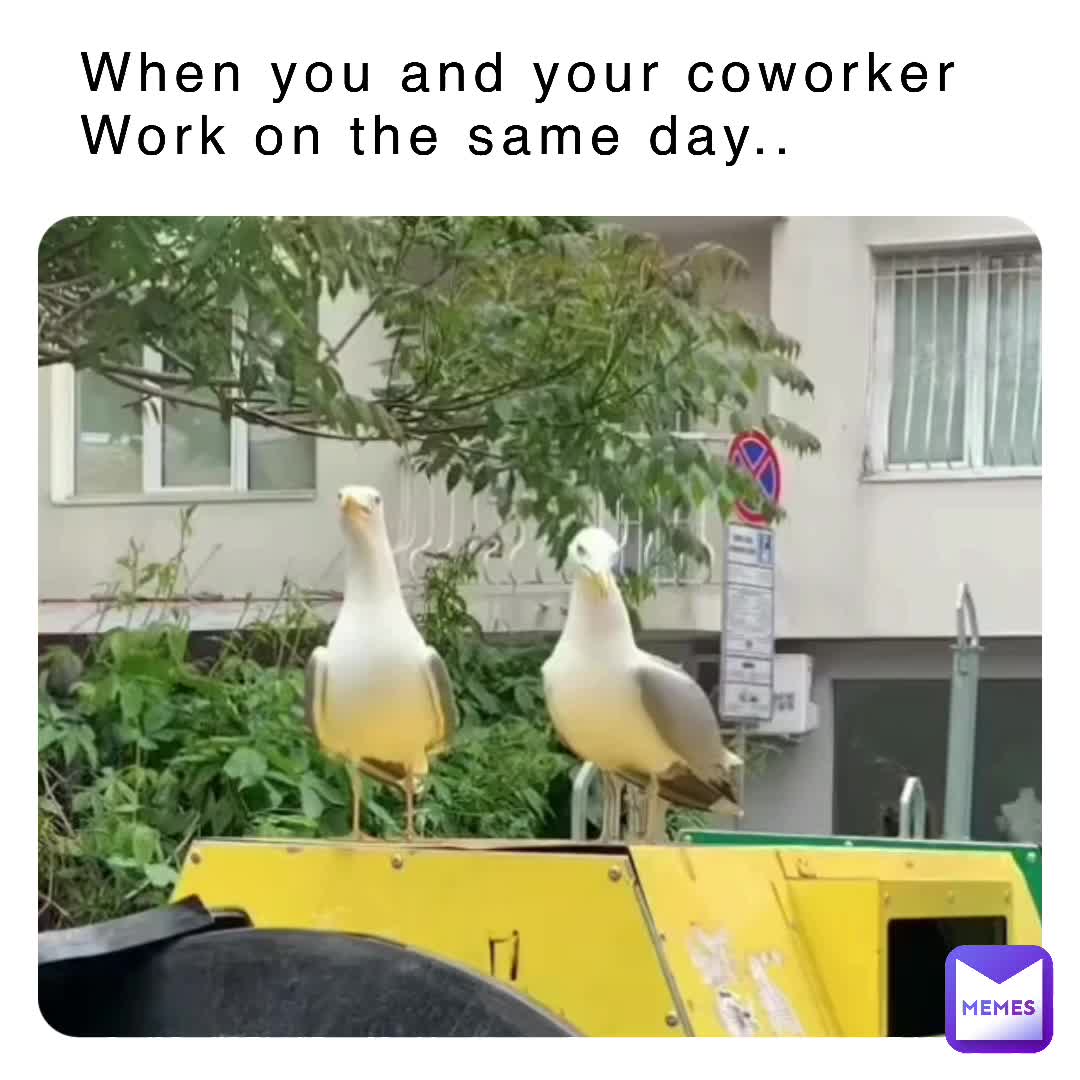 Meme shared by @poweredx3