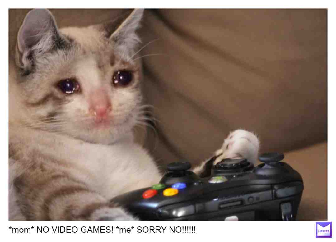 Meme shared by @mart.klein