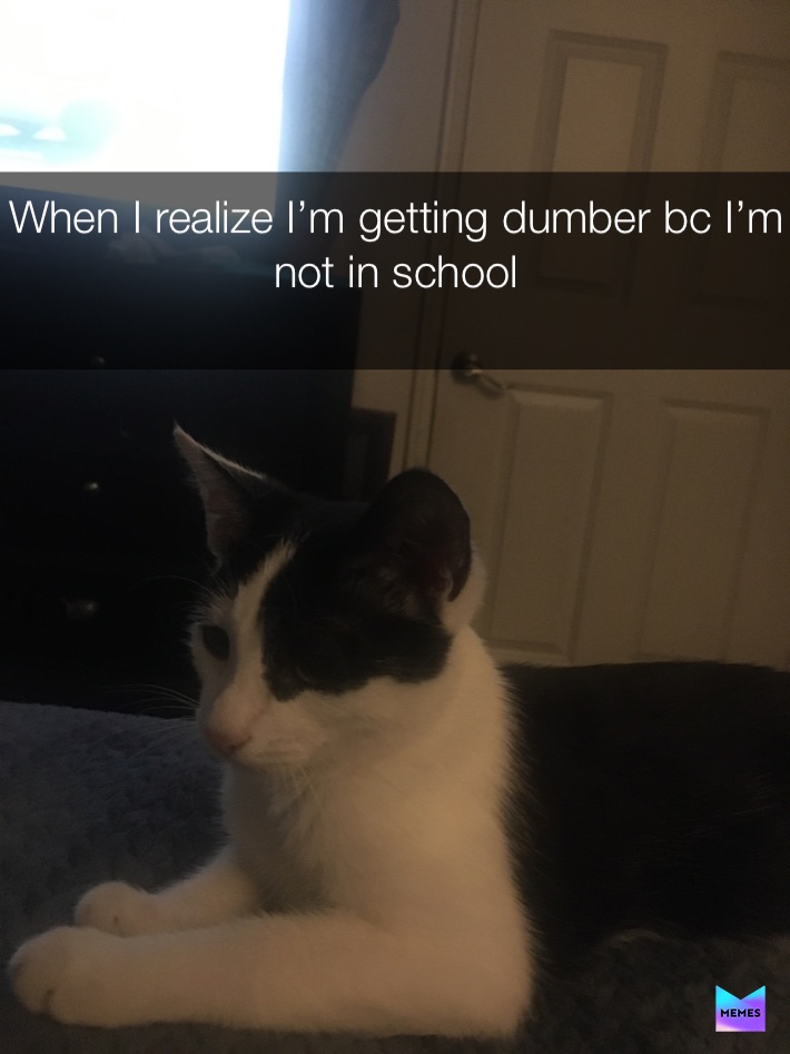 Meme by MaddieBacon_