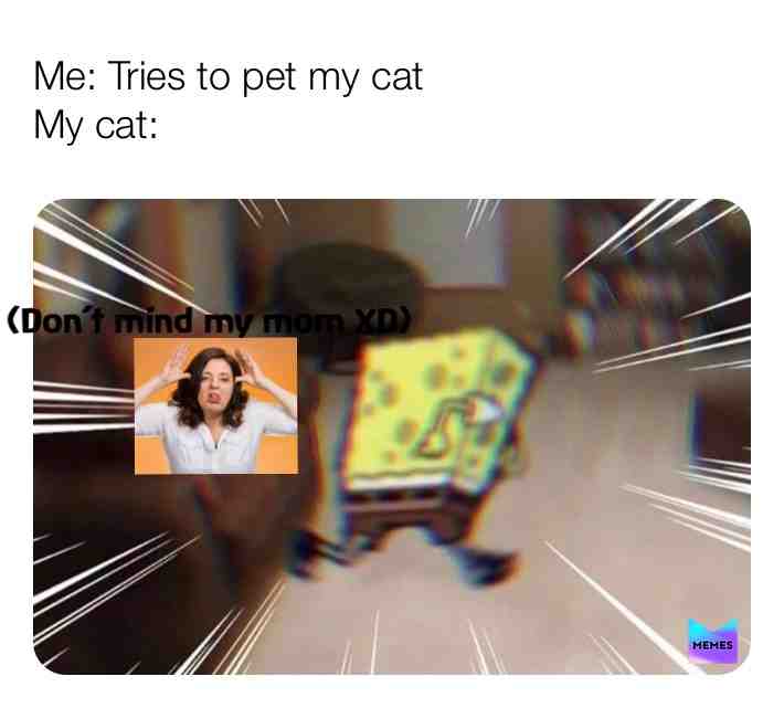 Like IM NOT GONNA HURT YOU ππβΉοΈ #memes β #watchout β #scared β #scared