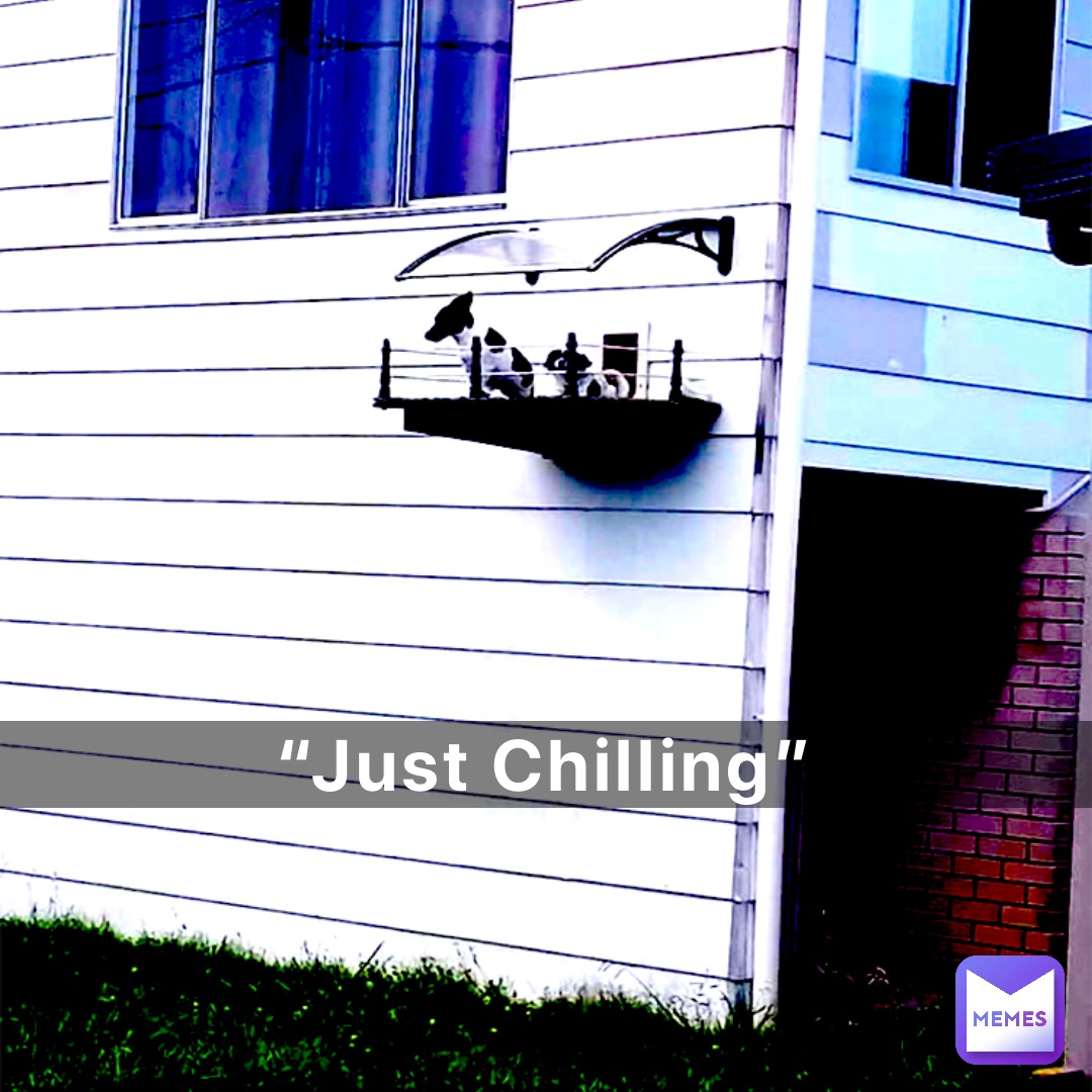 “Just Chilling”