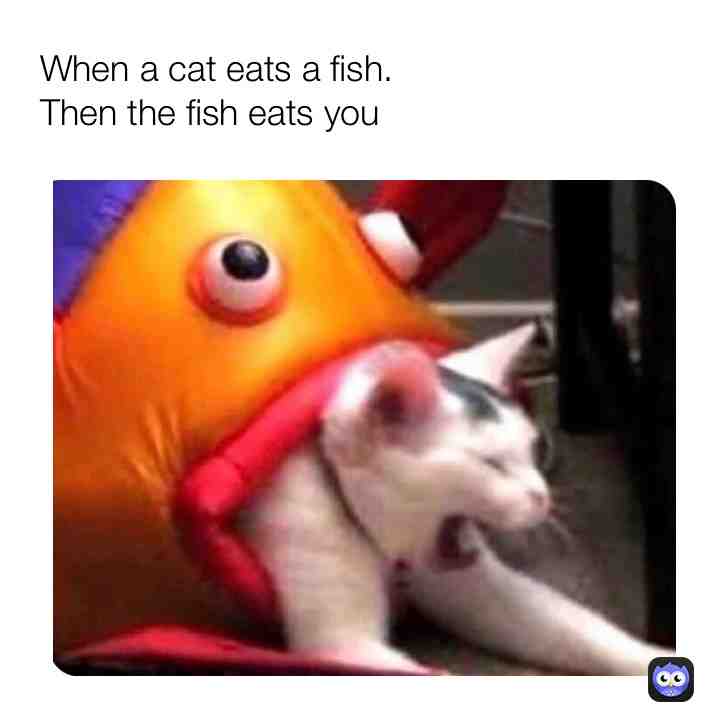 Meme shared by @nowon