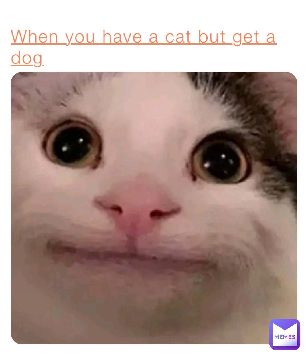 Polite Cat Meme Maker