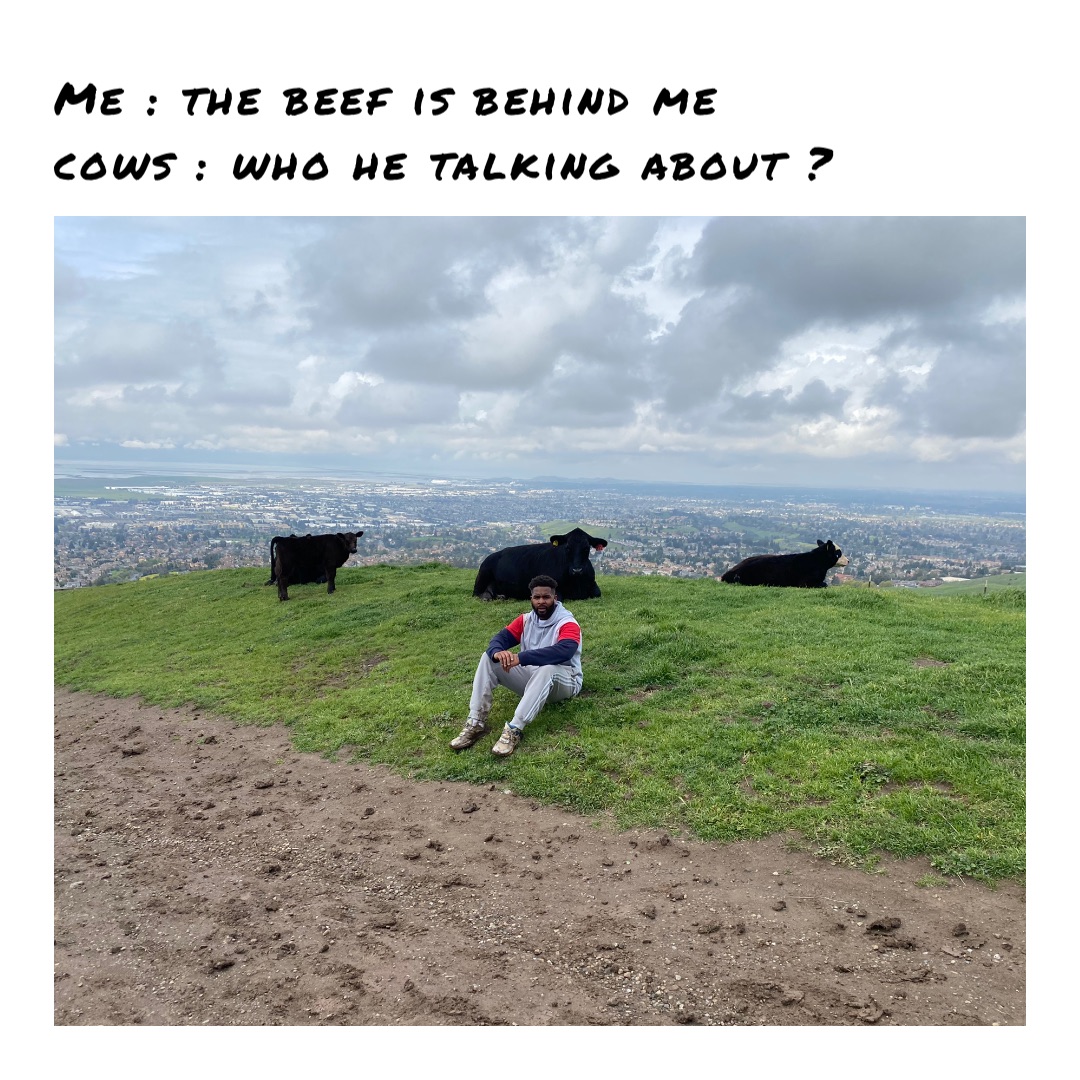 Me : The beef is behind me 
Cows : who he talking about ?