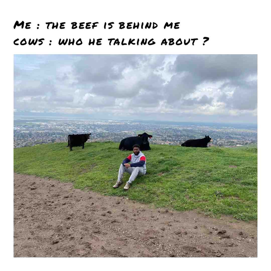Meme shared by @rellg08