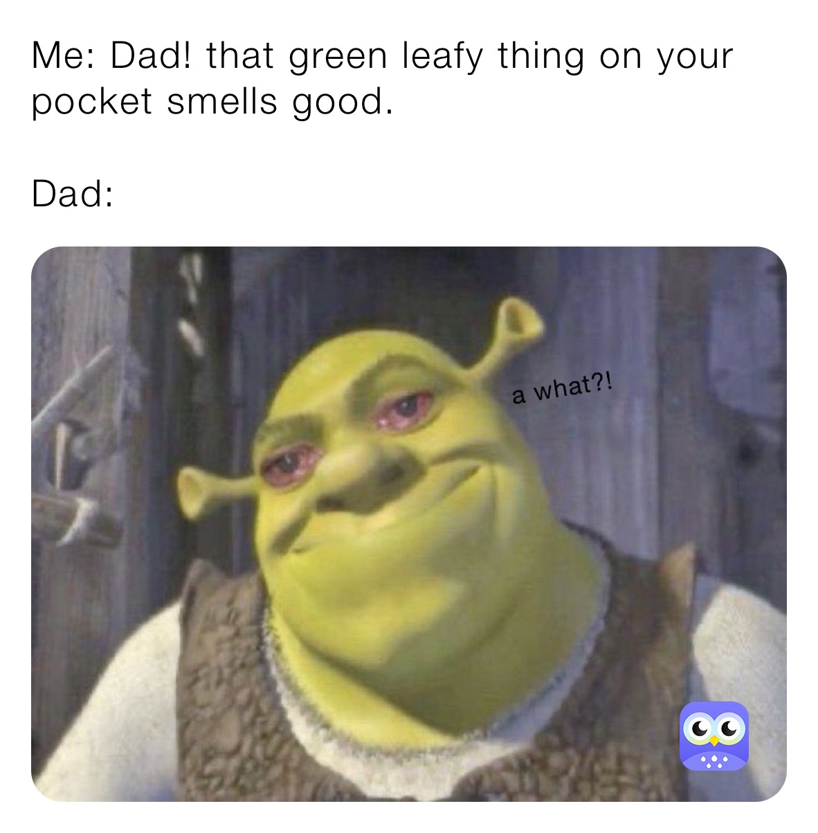 Me: Dad! that green leafy thing on your pocket smells good.

Dad: