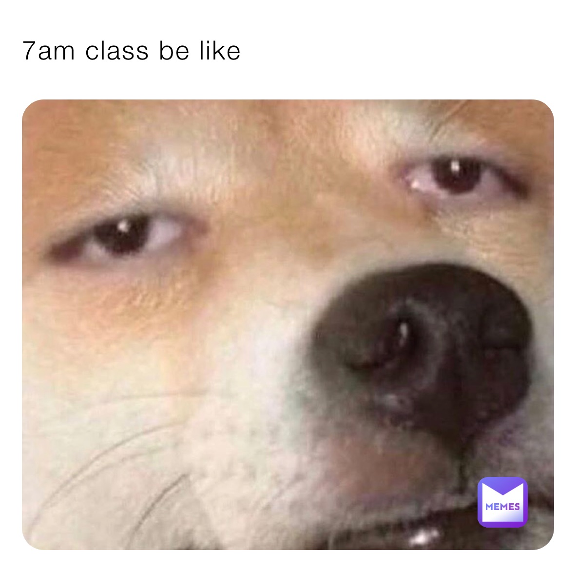 7am class be like