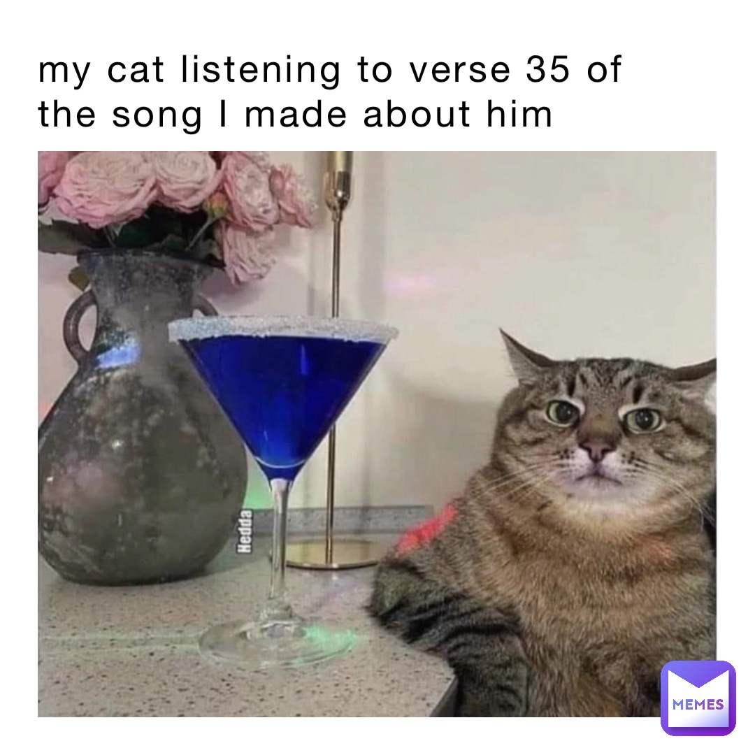 my cat listening to verse 35 of the song I made about him