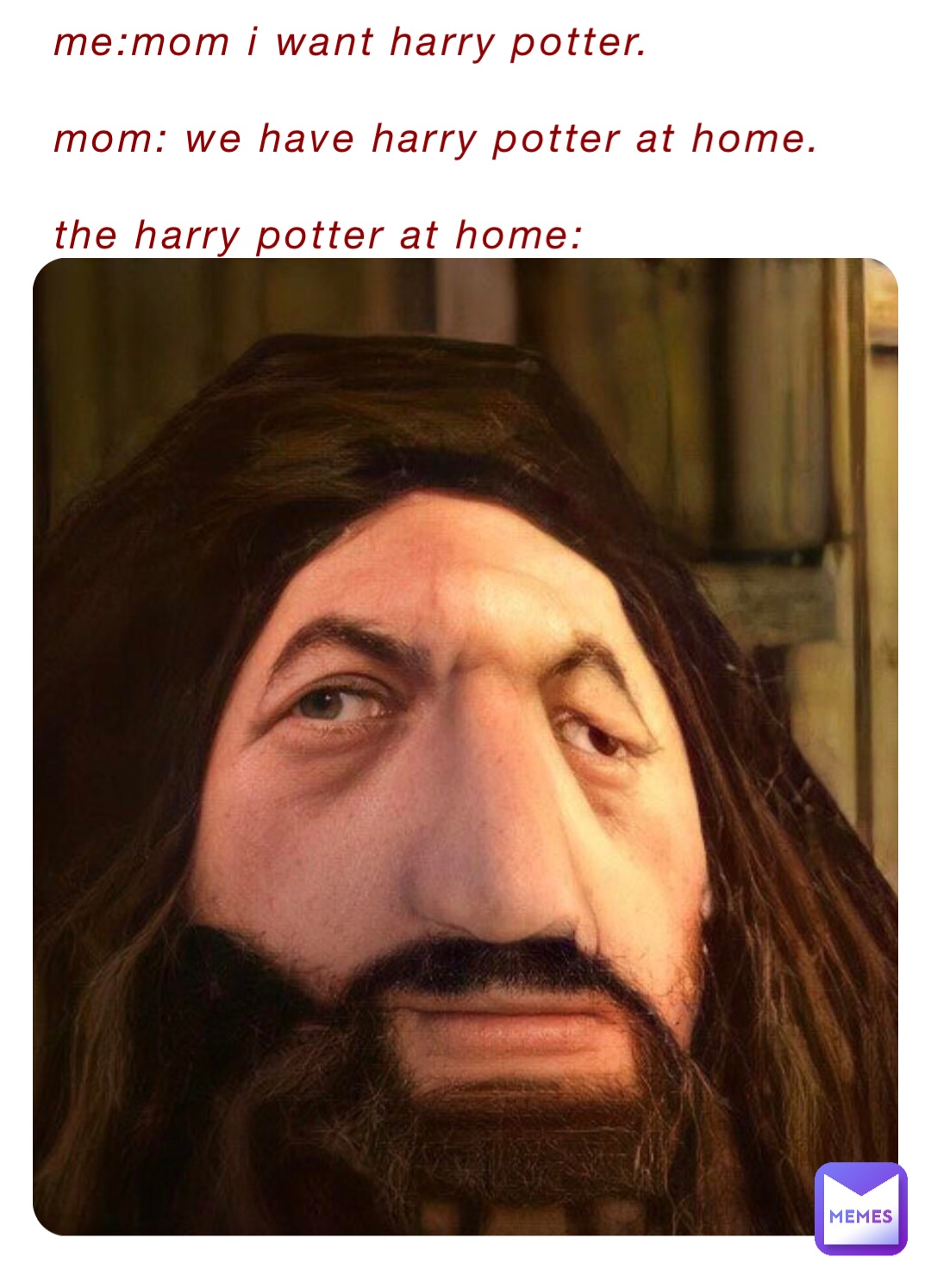 Me:Mom i want Harry Potter.

Mom: we have Harry Potter at home. 

The Harry potter at home: