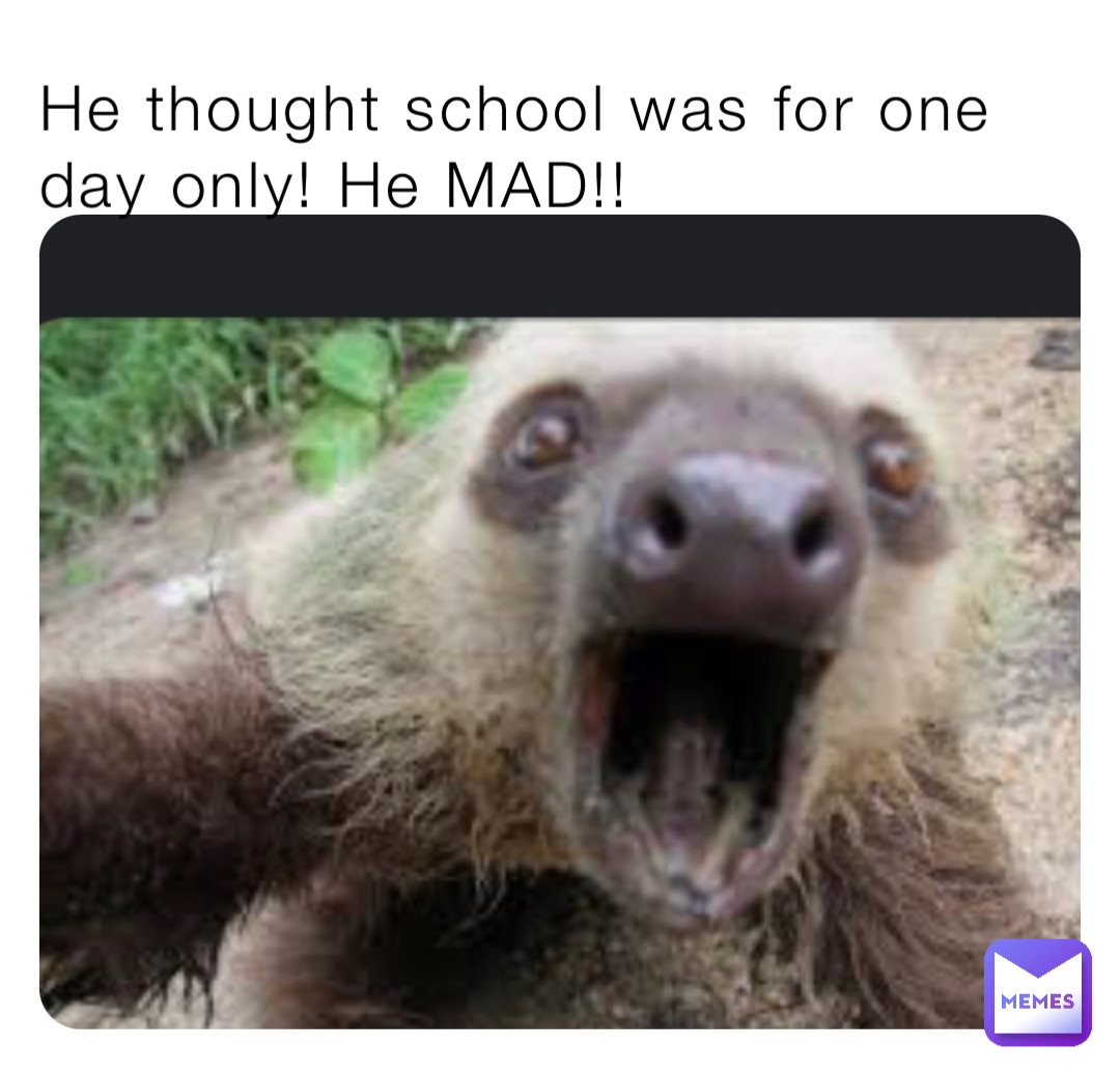 He thought school was for one day only! He MAD!!