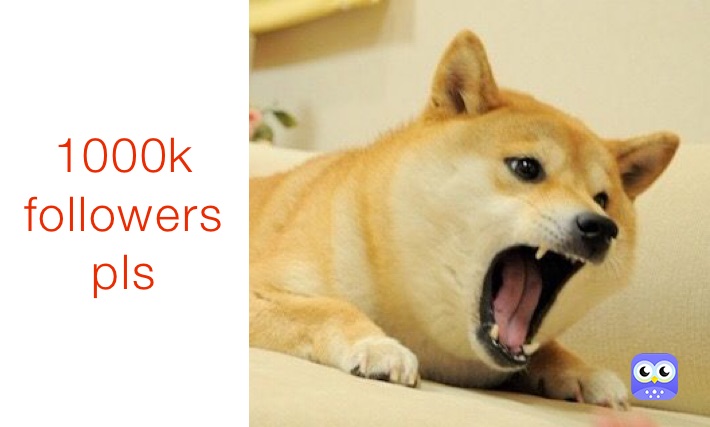 1000k followers pls