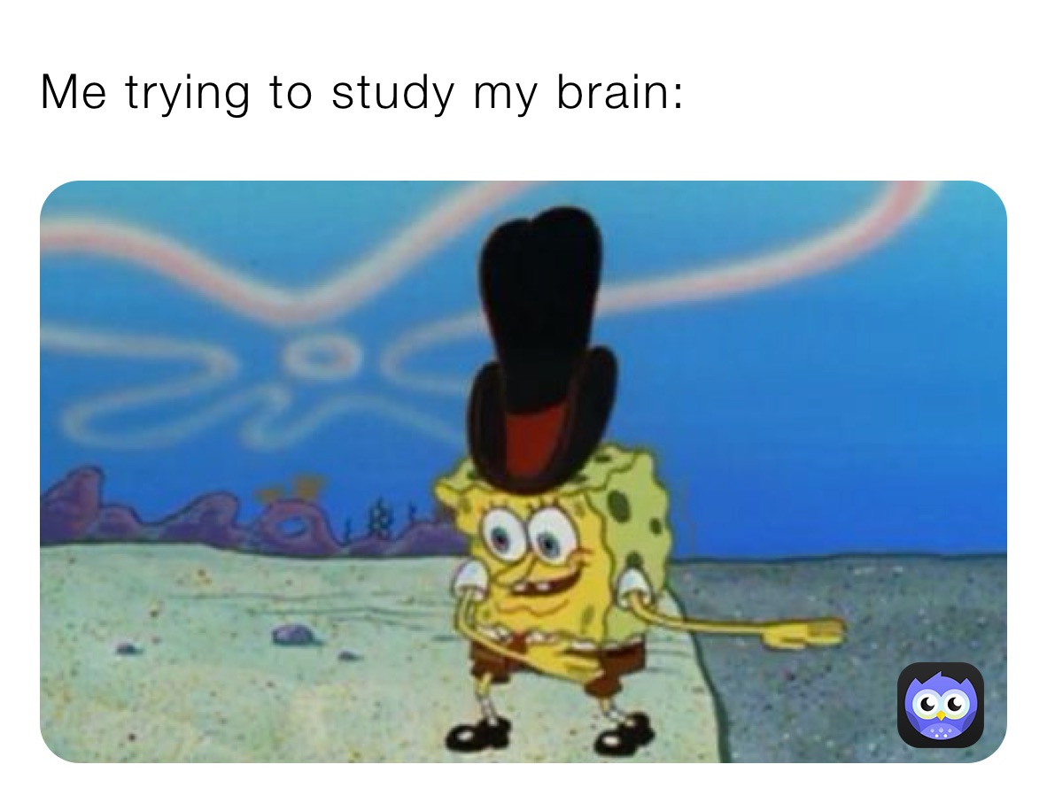 Me trying to study my brain: 