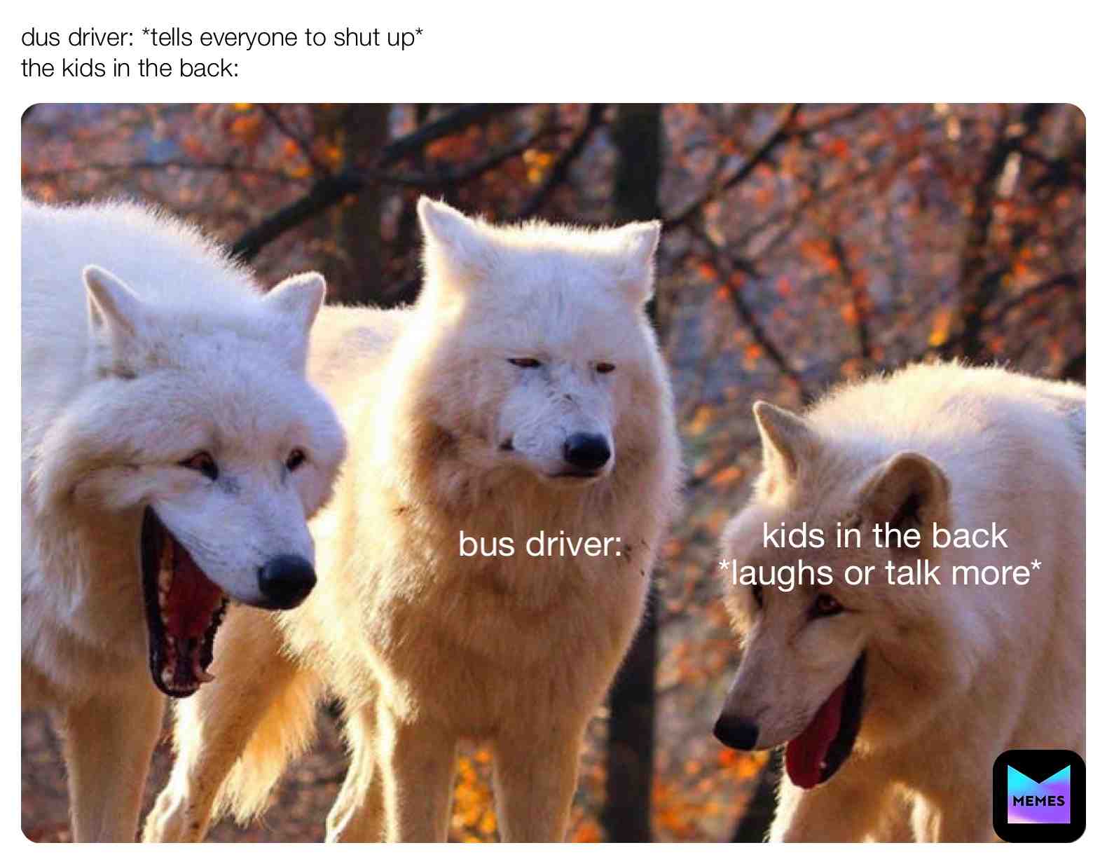 Meme shared by @Your_LoaclDummy