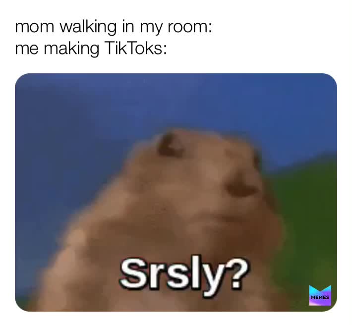 The TikTokers will know :,)