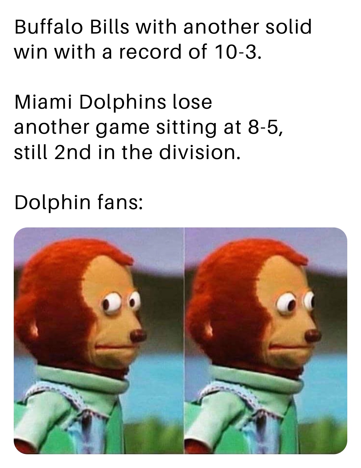 Miami Dolphins memes : r/buffalobills