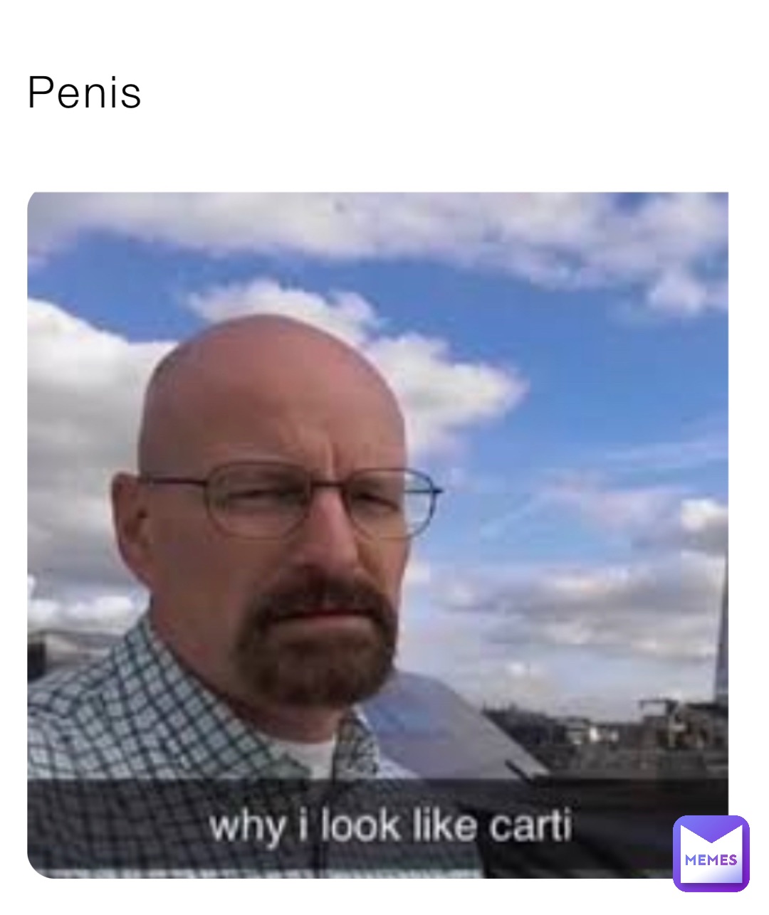 Penis