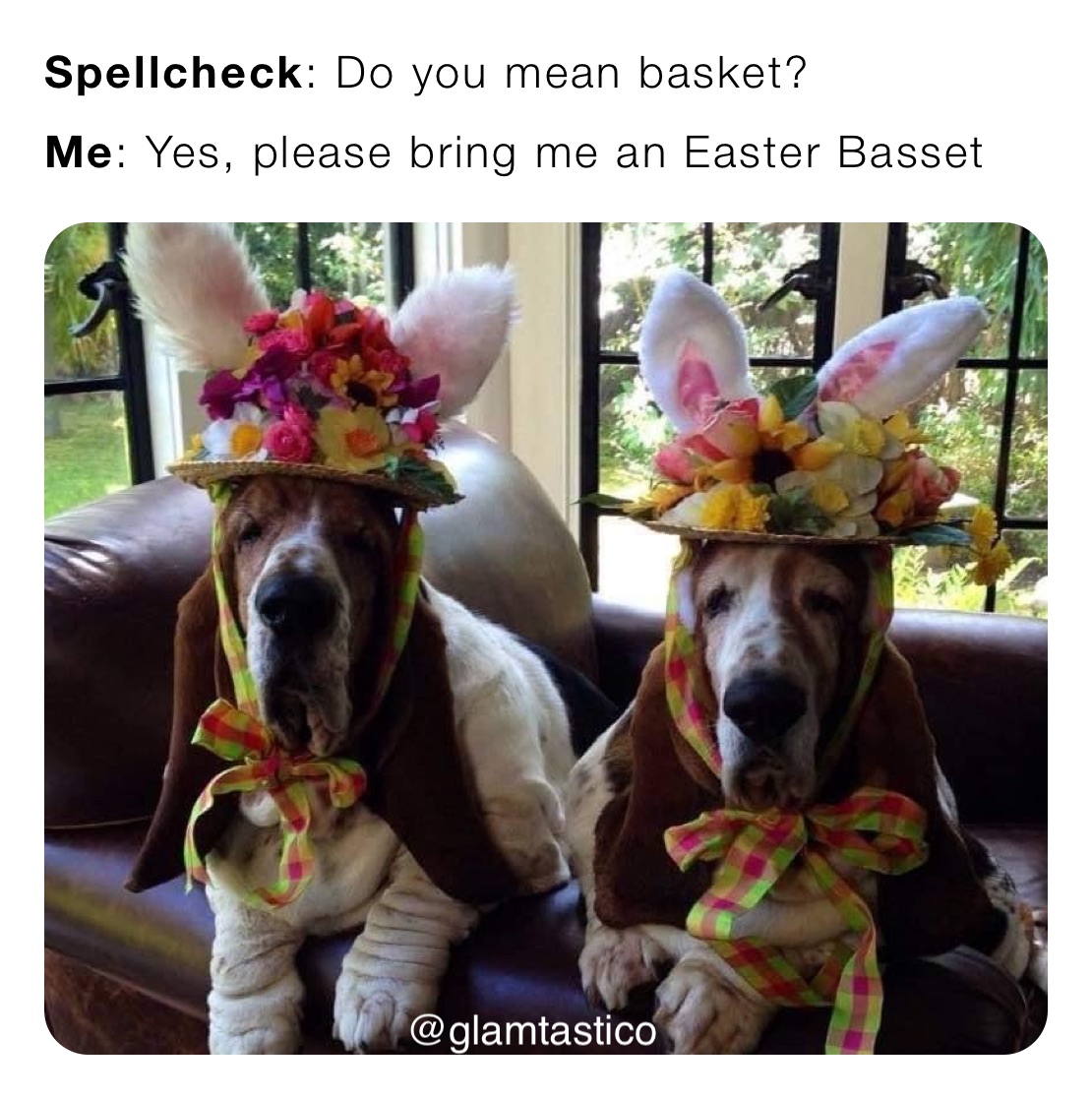 Spellcheck: Do you mean basket?
Me: Yes, please bring me an Easter Basset
