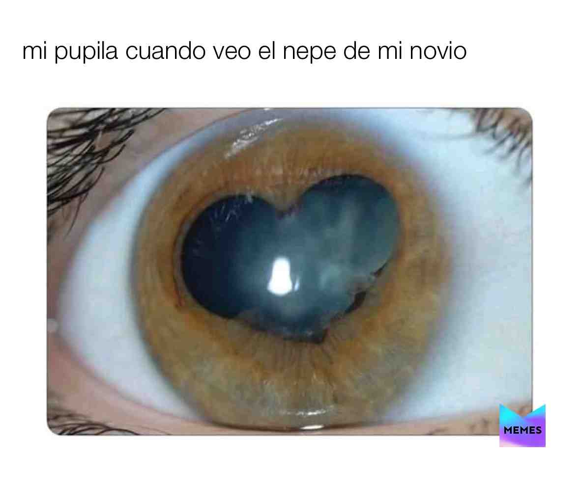 Meme preview