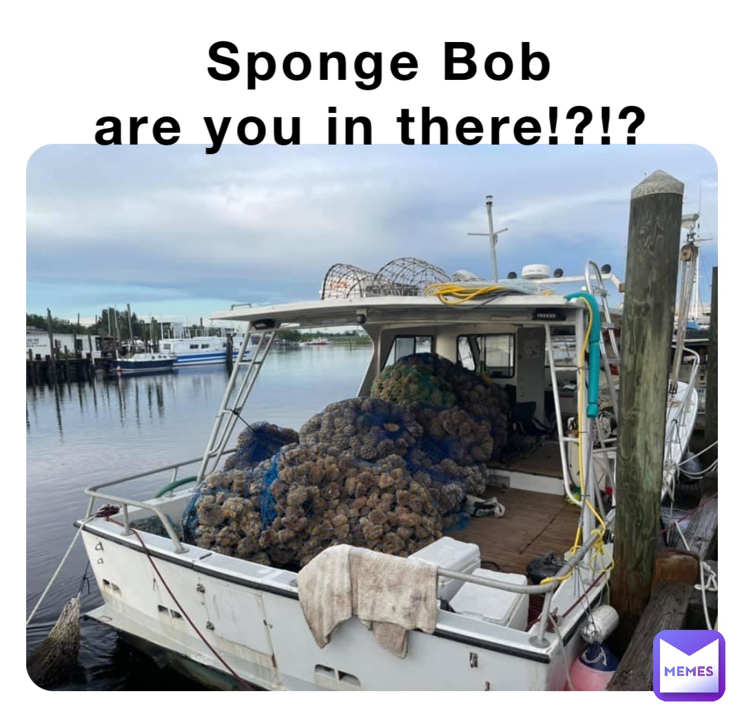 Sponge Bob 
are you in there!?!?