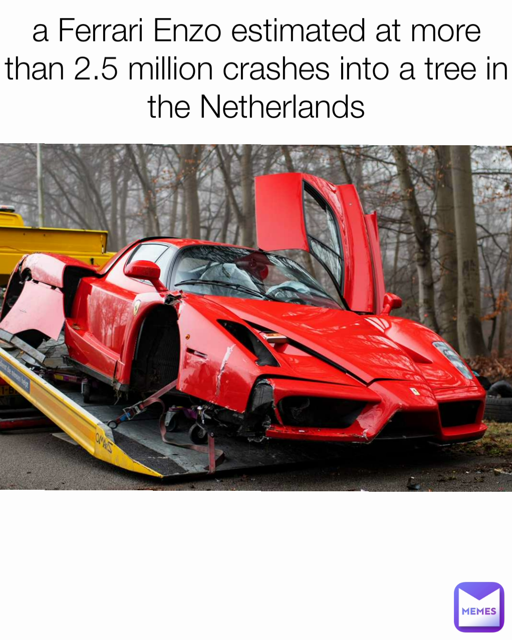 a Ferrari Enzo estimated at more than 2.5 million crashes into a tree in the Netherlands