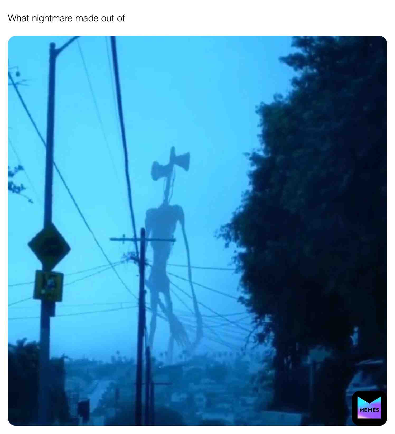 Meme shared by @nickepicmemes