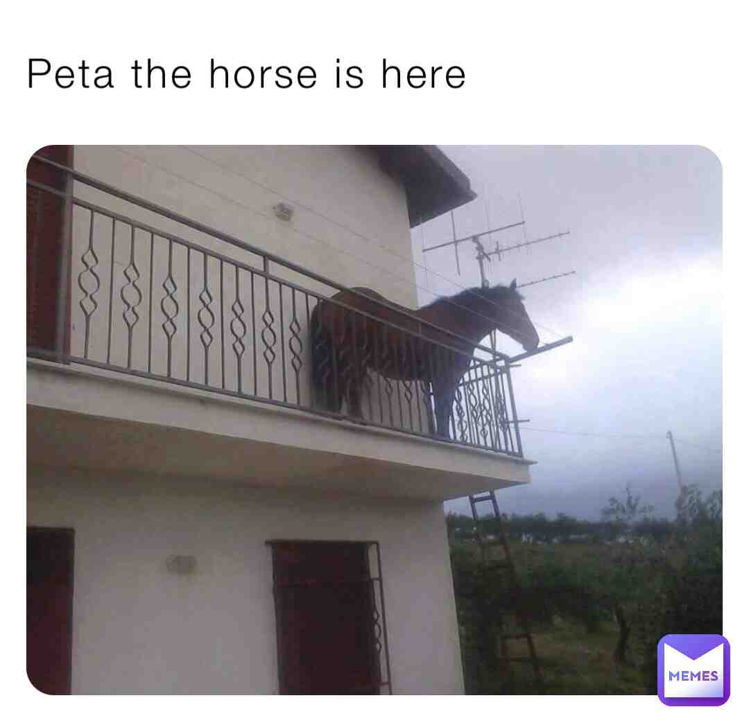 PETa