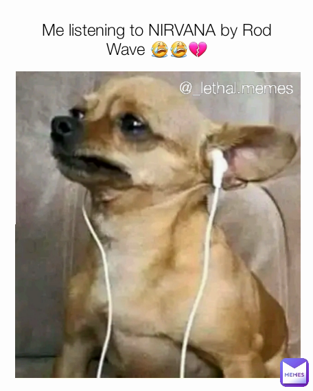 @_lethal.memes  Me listening to NIRVANA by Rod Wave 😭😭💔