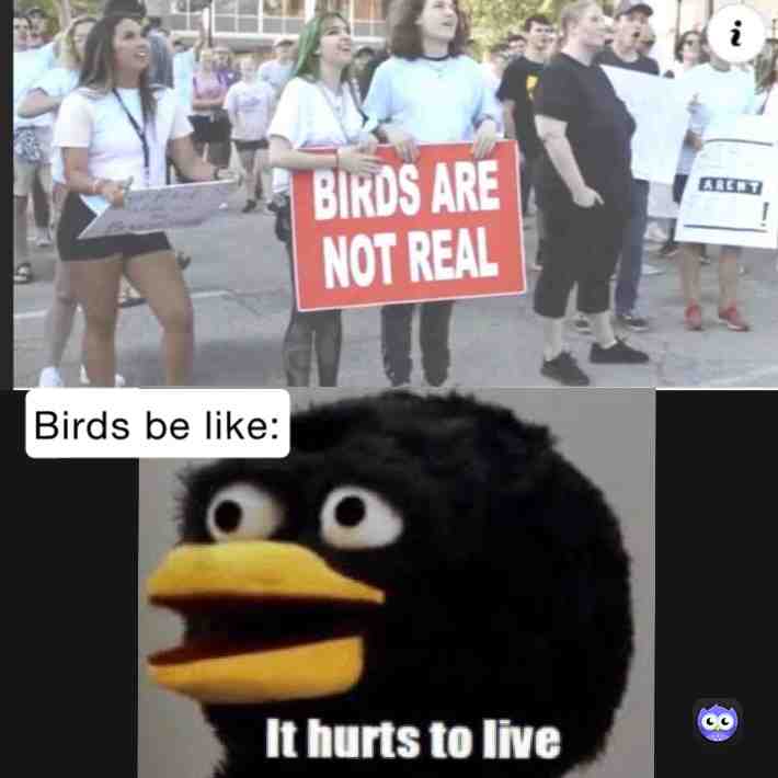 Meme preview