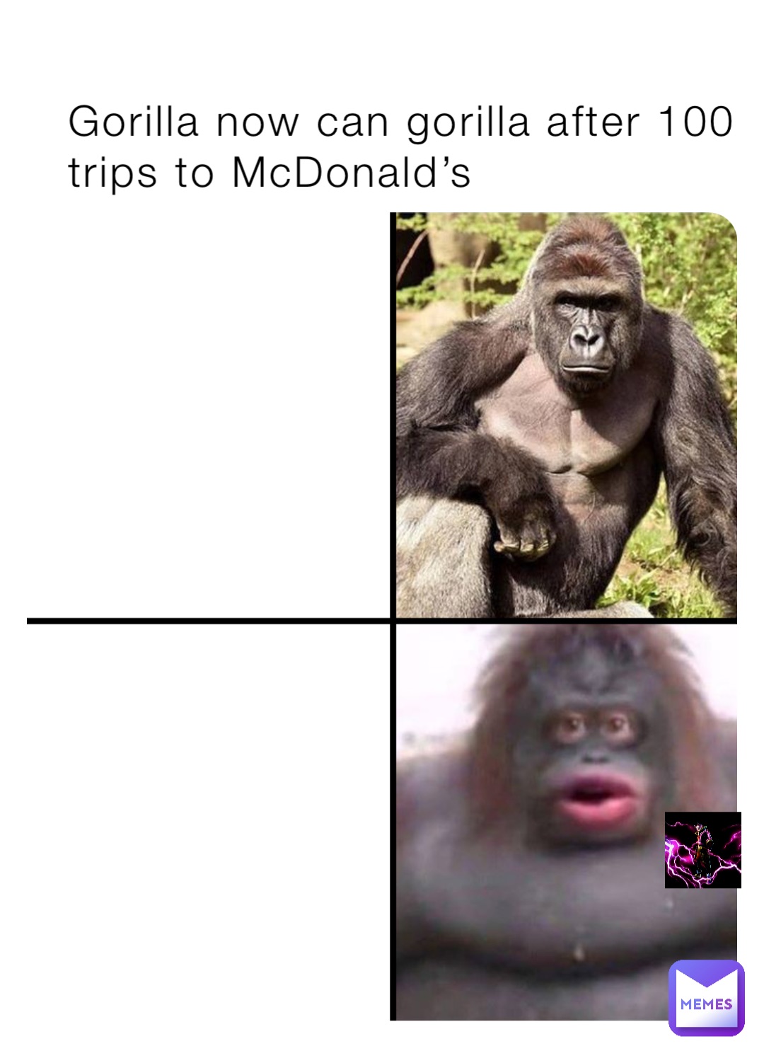 Gorilla now can gorilla after 100 trips to McDonald’s