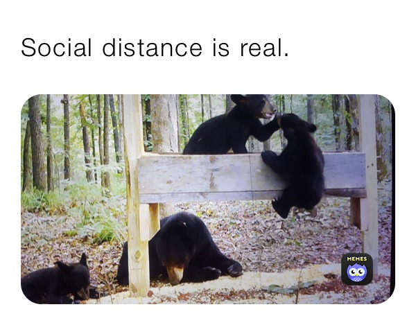 Social distance is real.
