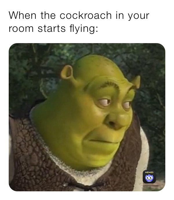 When the cockroach in your room starts flying:
