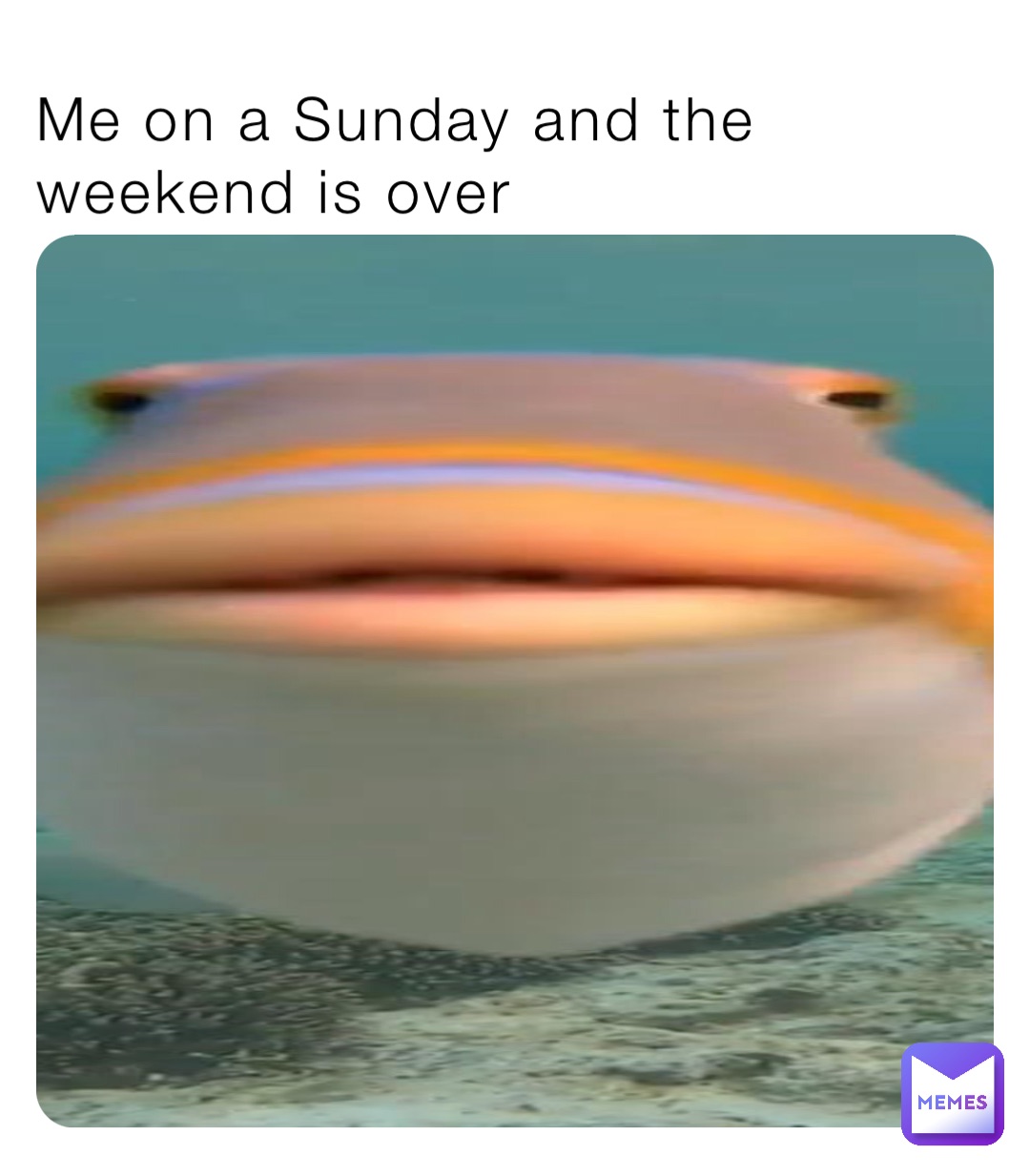 Me on a Sunday and the weekend is over