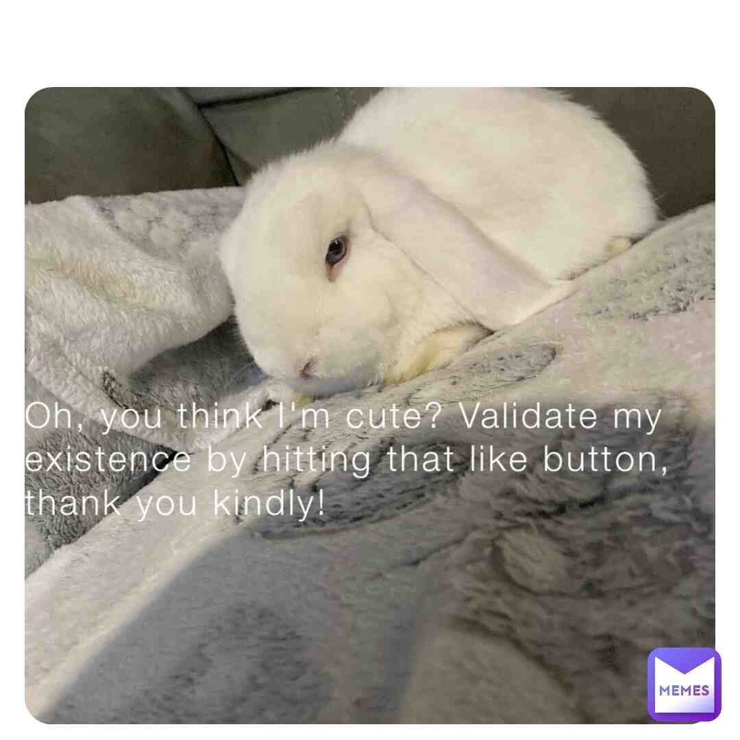 Meme shared by @Spitc31