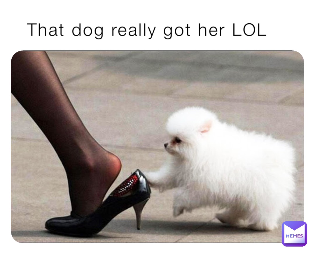 That dog really got her LOL