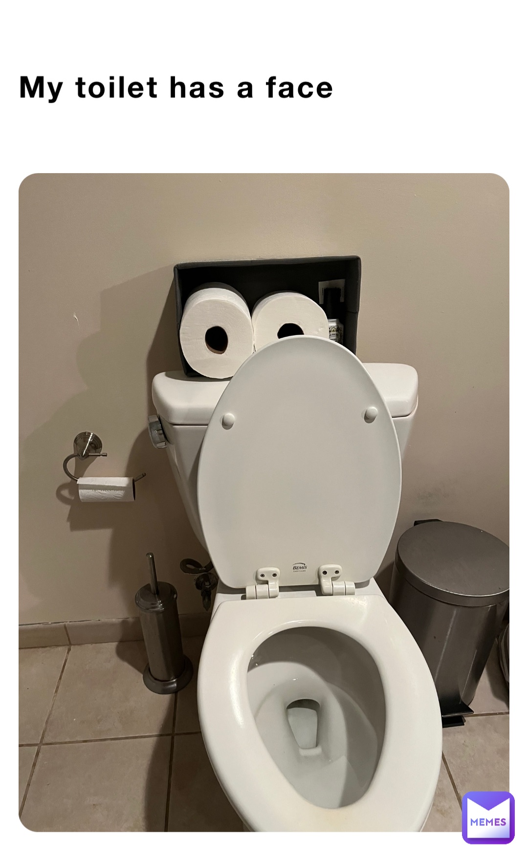 My toilet has a face