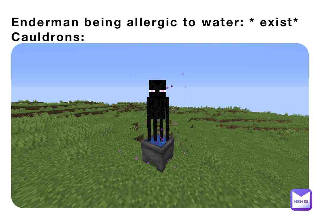 Meme preview