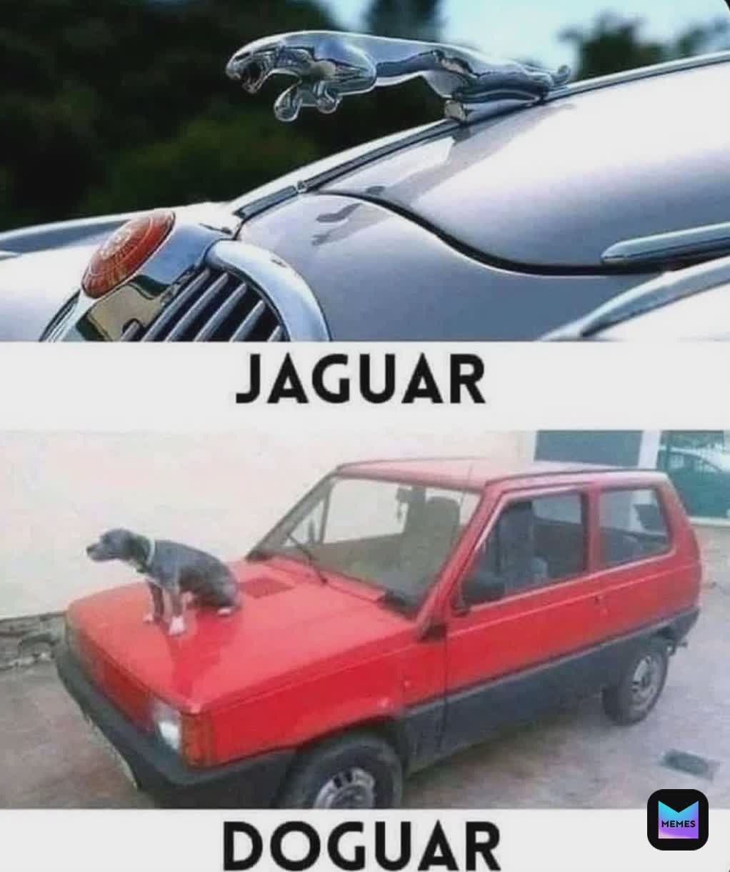 Meme by beauty_booty