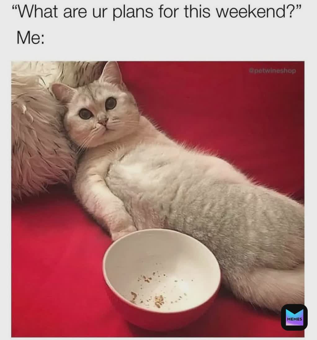 Meme by beauty_booty