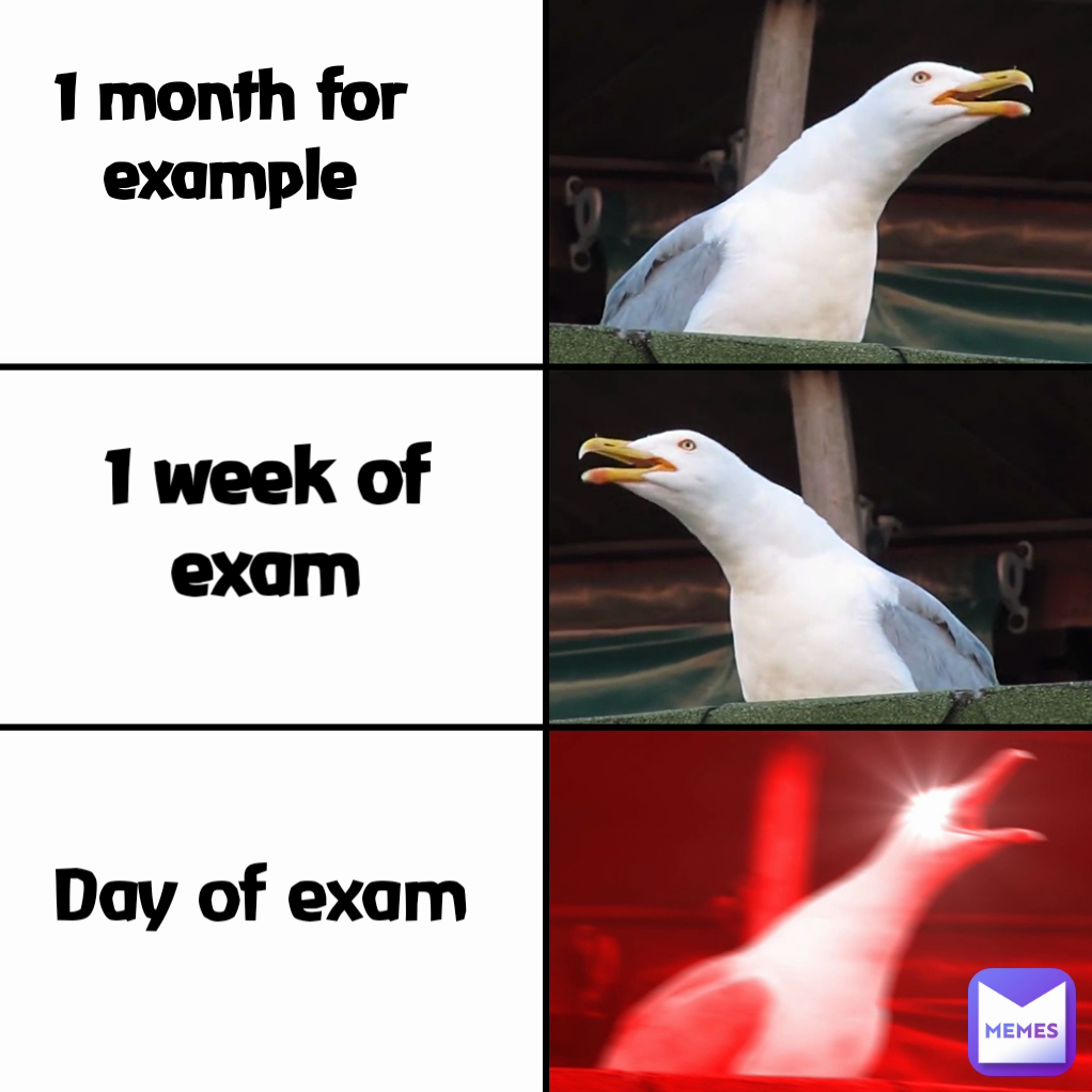 1 week of exam
 1 month for example
 Day of exam

