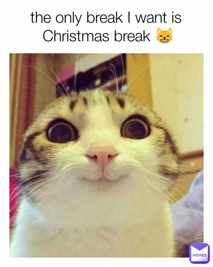 the only break I want is 
Christmas break 😸