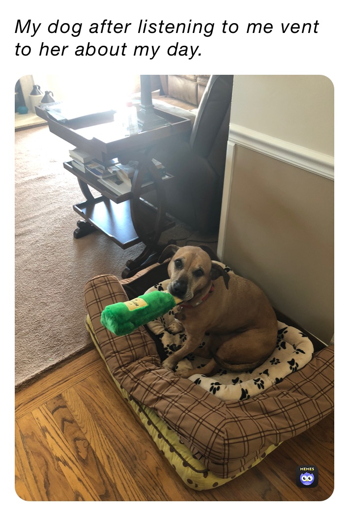 My dog after listening to me vent to her about my day. 
