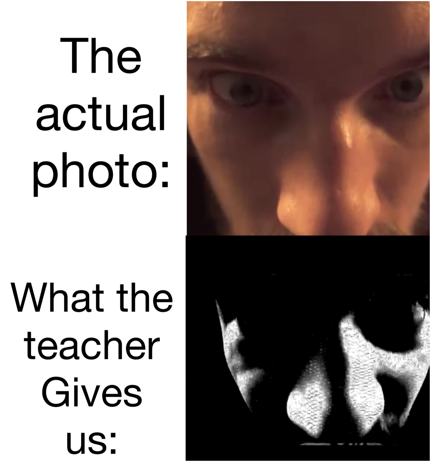 Meme by the_perhaps_cow