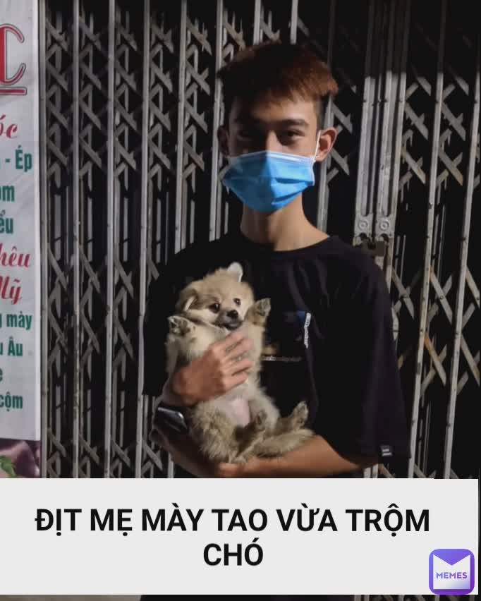 ĐỊT MẸ MÀY TAO VỪA TRỘM
CHÓ