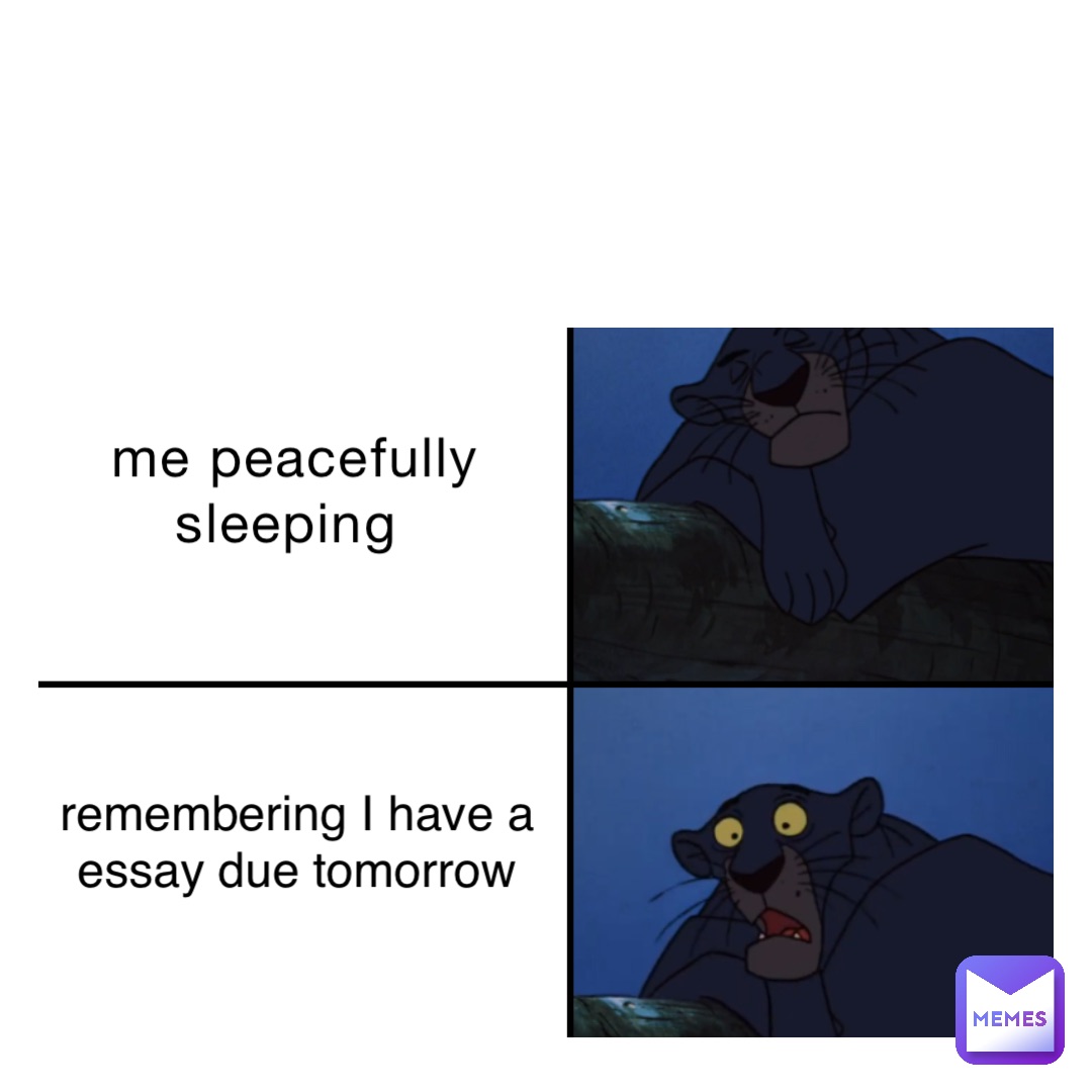 me peacefully sleeping remembering I have a essay due tomorrow