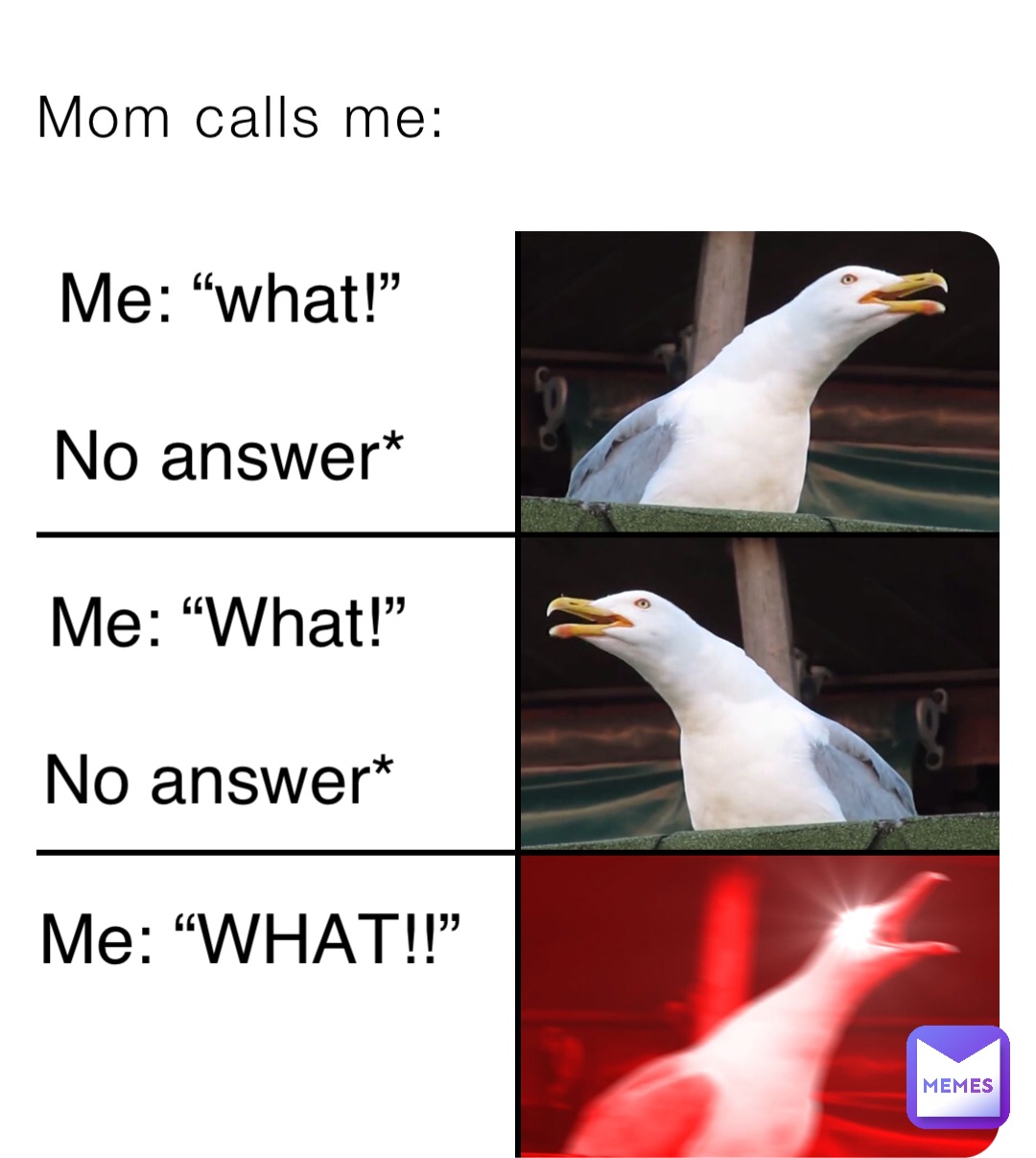 Mom calls me: Me: “what!”

No answer* Me: “What!” 

No answer* Me: “WHAT!!”